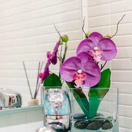 Lejlighed Lux W/pool Seaside Prainha Algarve *